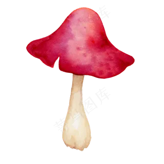 水彩秋日雨后蘑菇