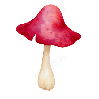 水彩秋日雨后蘑菇