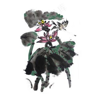 夏荷花开手绘水墨风