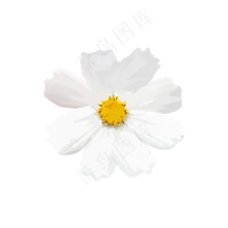 简约清新手绘花朵可商用元素