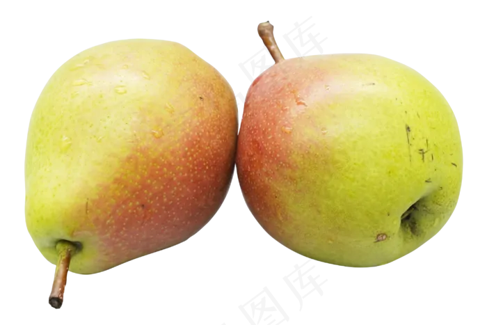 两个水果梨子(3000X3000(DPI:300))