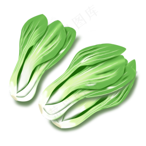 手绘青菜绿色蔬菜