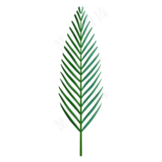 热带植物仿真绿色叶子