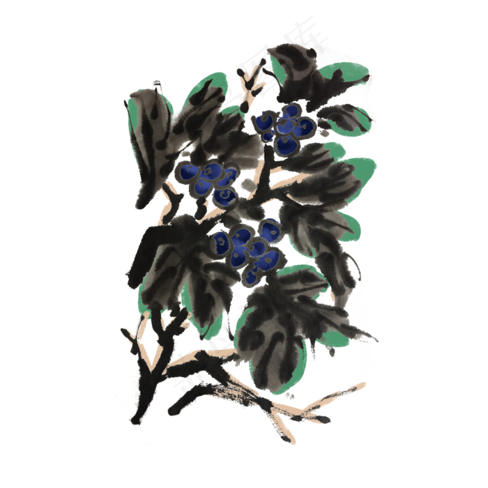 中国风水果蓝莓手绘插画