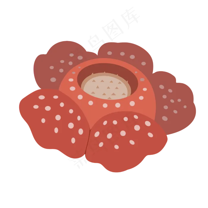 热带植物红色大王花(3000X3000(DPI:299))psd模版下载