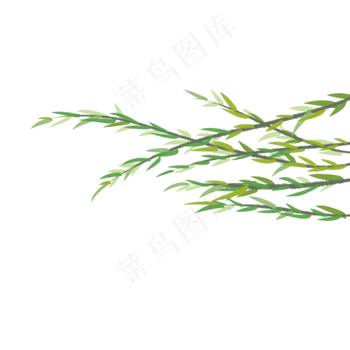 清明时节漂浮的柳叶