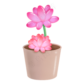清新盆栽粉色双朵多肉,免抠元素