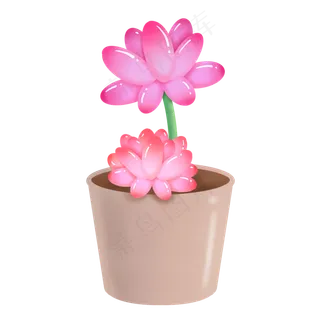 清新盆栽粉色双朵多肉,免抠元素