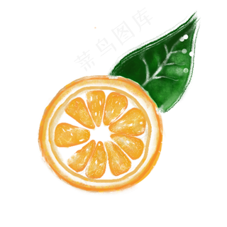 新鲜橙子 新鲜橙子