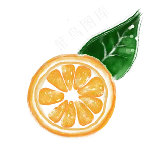 新鲜橙子 新鲜橙子