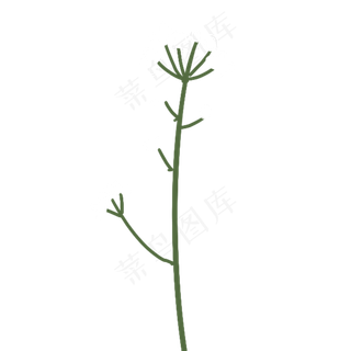 一颗白色的卡通花朵