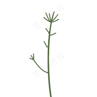 一颗白色的卡通花朵