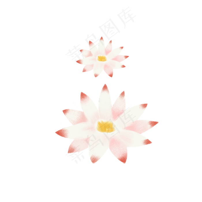 河边的荷花(2000X2000(DPI:200))psd模版下载