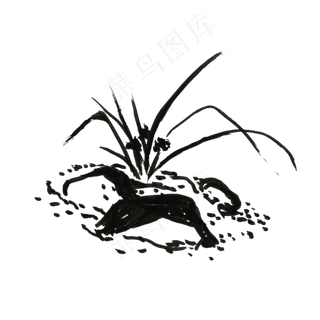 中国风水墨兰花黑白兰花和石头电