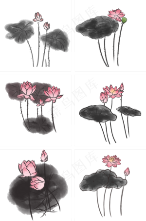 中国传统水墨荷花套图