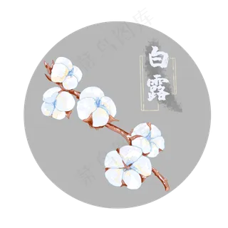 白露棉花,免抠元素