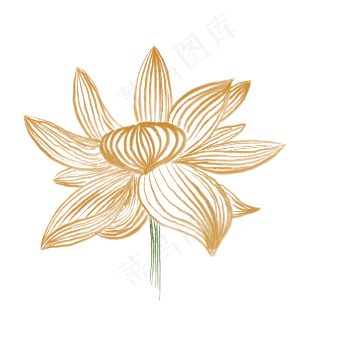一朵盛开的荷花免抠创意插图(2000X2000(DPI:132))psd模版下载