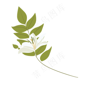 春天美丽鲜花下载