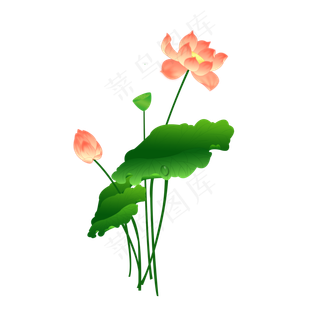 夏日荷花荷叶免扣粉色渐变荷花