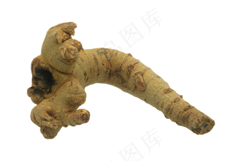 云南三七头,免抠元素