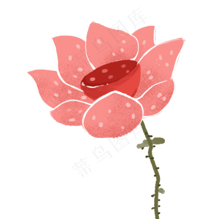 清新植物荷花装饰素材(2000X2000(DPI:300))psd模版下载