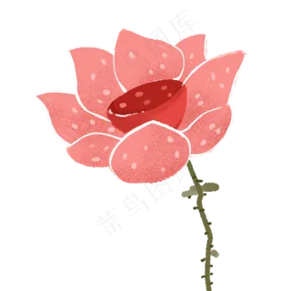 清新植物荷花装饰素材