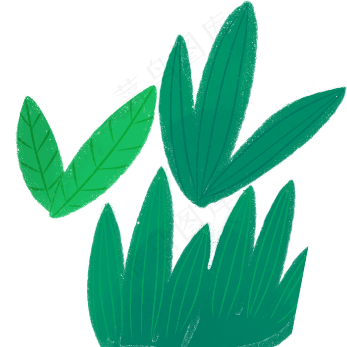 卡通的绿色叶子植物(2000X2000(DPI:300))psd模版下载