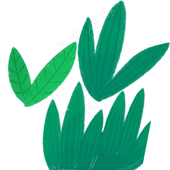 卡通的绿色叶子植物(2000X2000(DPI:300))psd模版下载