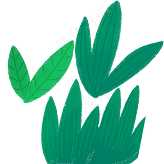 卡通的绿色叶子植物
