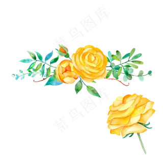 水彩风手绘黄色蔷薇花朵矢量图