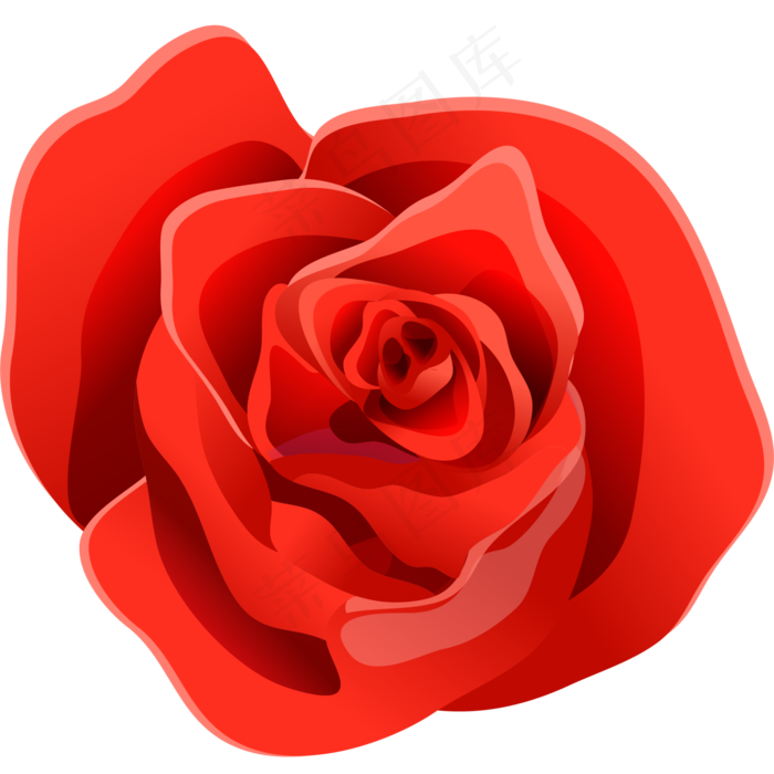 鲜红色卡通风格矢量玫瑰