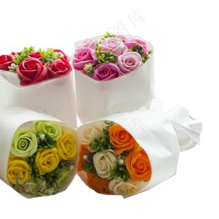 四朵新鲜花朵免抠图