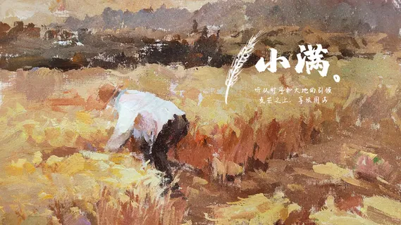 小满节气稻谷与农民