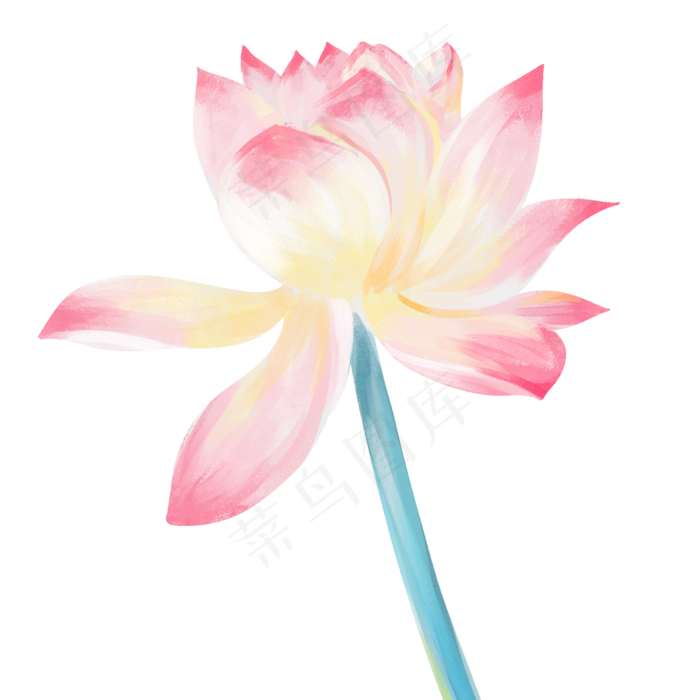 彩色荷花(2000X2000(DPI:300))psd模版下载