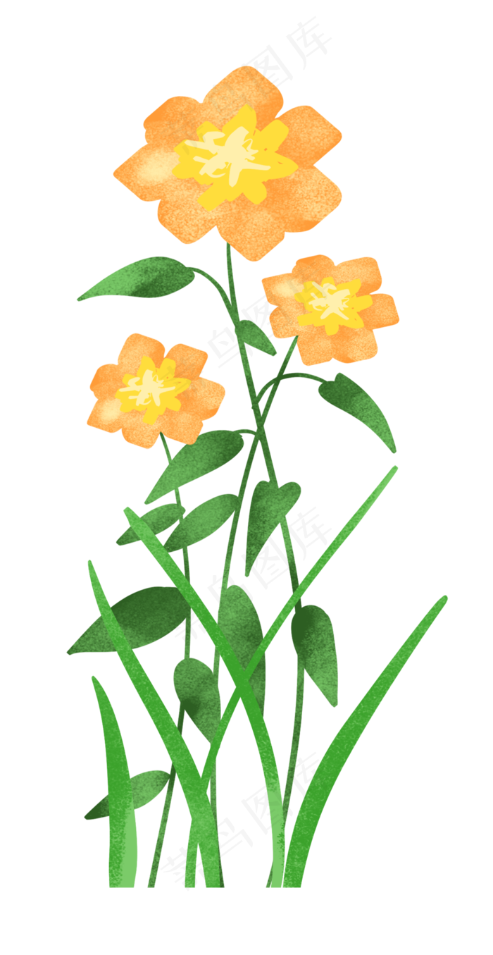 橙色新鲜花束(2000X3871(DPI:300))psd模版下载