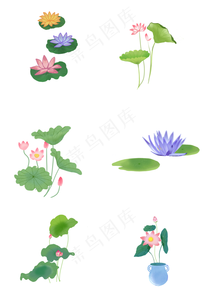 夏季荷花(2000X3020(DPI:300))psd模版下载
