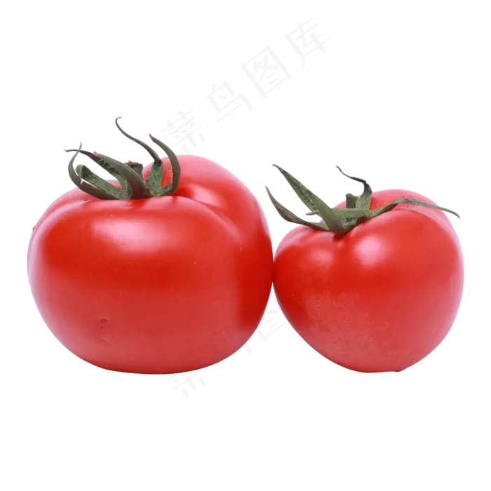 红色西红柿实拍,免抠元素(2500X2500(DPI:300))