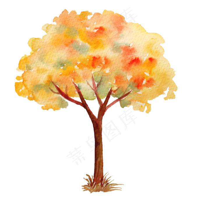 立秋秋日的红枫树,免抠元素