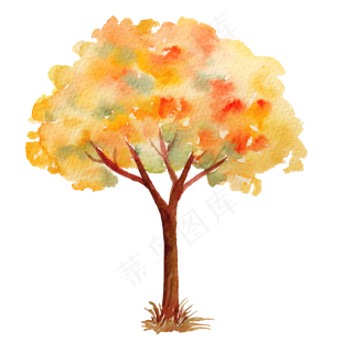 立秋秋日的红枫树,免抠元素