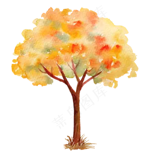 立秋秋日的红枫树,免抠元素