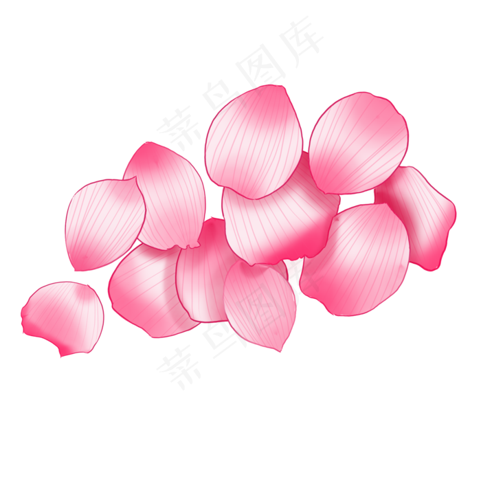 少女风玫瑰花瓣插图