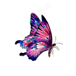 蝴蝶紫红翅膀水墨透明PNG明艳,免抠元素