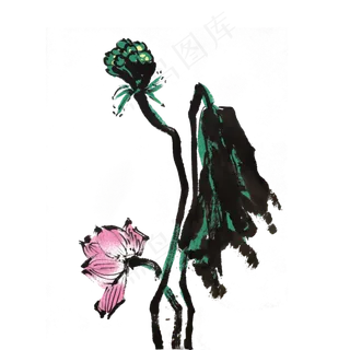 荷叶荷叶水墨风手绘花草