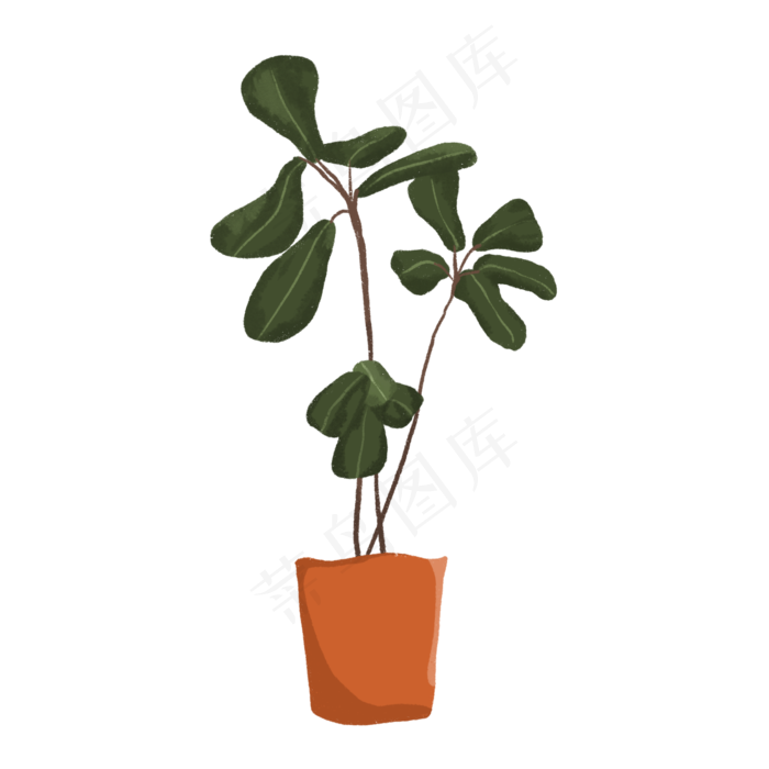 手绘盆栽琴叶榕植物素材