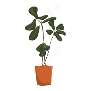 手绘盆栽琴叶榕植物素材