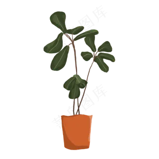 手绘盆栽琴叶榕植物素材