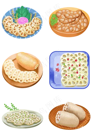 手绘美食熟食荷花果实之莲藕套图
