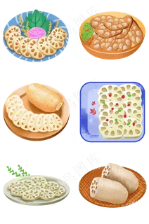 手绘美食熟食荷花果实之莲藕套图 手绘美食熟食荷花果实之莲藕套图