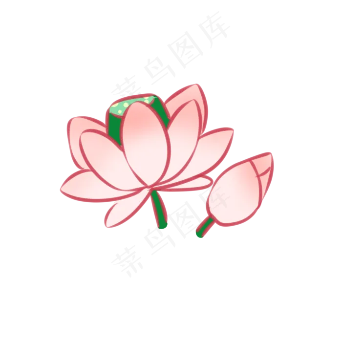 含苞待放的夏日荷花(2100X2100(DPI:300))psd模版下载