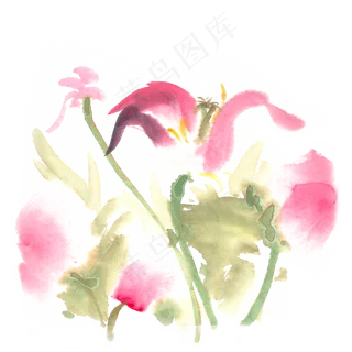娇艳的花卉水墨画PNG免抠素材
